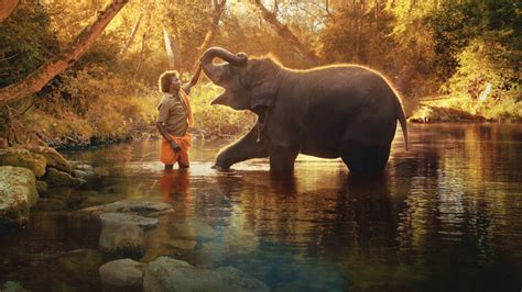 The elephant whisperers movie download ibomma <q>com, Bolly4u, Isaimini, Kuttymovies7, Filmygod, Veganmovies,</q>